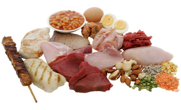 protein-and-the-bones