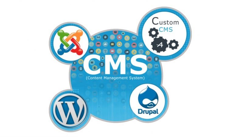 slinky.com.au cms-for-small-businesses-how-to-choose-one