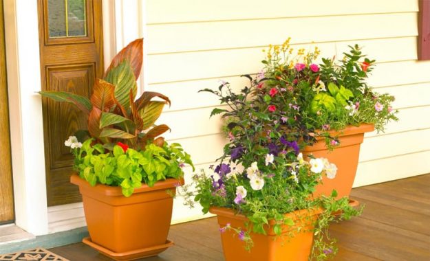 slinky.com.au container-gardening-a-new-way-to-small-space-gardening