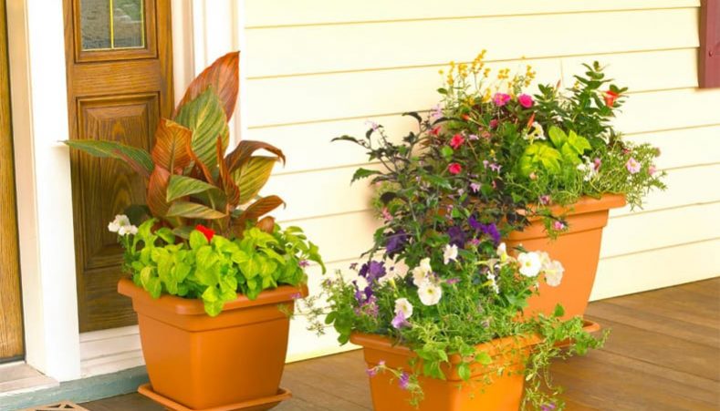slinky.com.au container-gardening-a-new-way-to-small-space-gardening