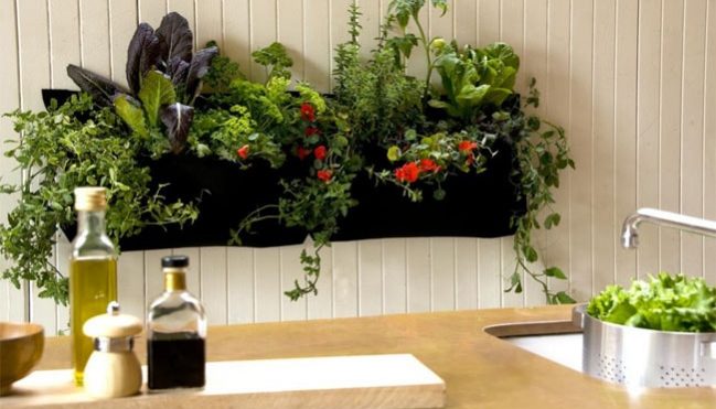 slinky.com.au Kitchen Garden image-min