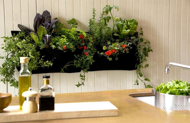 slinky.com.au Kitchen Garden image-min slinky.com.au Kitchen Garden image-min