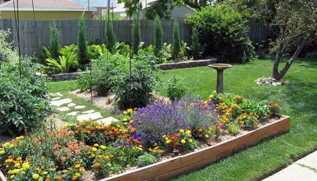 slinky.com.au Landscaping Your Backyard-min