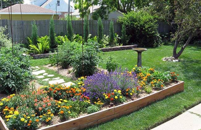 slinky.com.au Landscaping Your Backyard-min slinky.com.au Landscaping Your Backyard-min