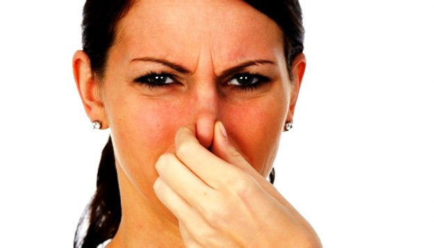 Why Do Our Office Drains Stink and How Do We Fix It