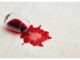 How To Remove Red Wine Stains From Carpets